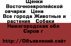 Щенки Восточноевропейской овчарки › Цена ­ 25 000 - Все города Животные и растения » Собаки   . Нижегородская обл.,Саров г.